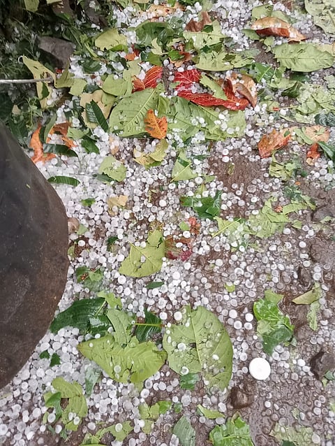 विदर्भाला गारपिटीसह अवकाळी पावसाचा तडाखा, वीज पडून दोघांचा मृत्यू, पिकांचे मोठे नुकसान