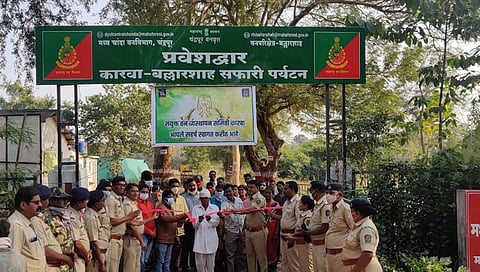 forest of Chandrapur : देशात प्रथमच चंद्रपुरातील प्रादेशिक वनांत पर्यटन सफारीला प्रारंभ