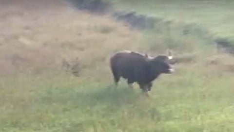 संग्रहित छायाचित्र 