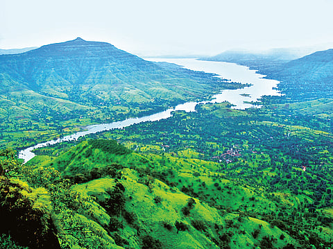 Trips and employment meet to encourage voters!