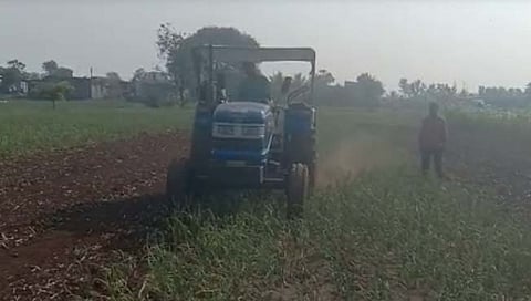 पुणे : अनेक शेतकऱ्यांनी कांद्यावर फिरवला रोटोवेटर