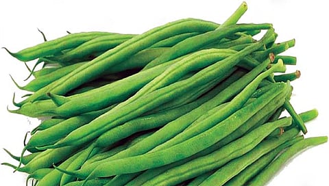 घेवडा घ्या घेवडा