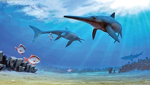 ‘सागरी ड्रॅगन’ च्या सांगाड्याचा शोध