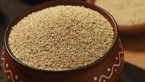 खसखस आहे थंडीत वरदान ! शरीराला ऊर्जा ते तरुण दिसण्यापर्यंत आहेत औषधी गुण