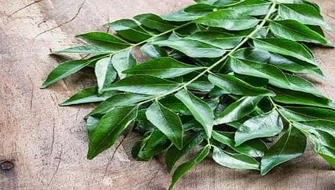 संग्रहित छायाचित्र