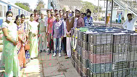 लासलगावमधून रेल्वेने प्रथमच द्राक्ष परराज्यात रवाना