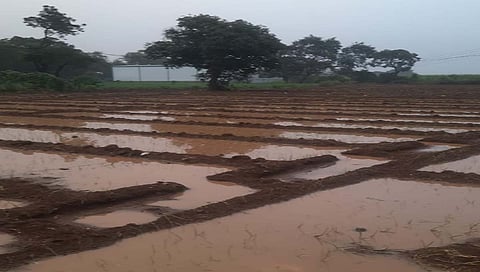 नाशिक : अवकाळी पावसामुळे व्यापाऱ्यांसह शेतकऱ्यांचे नुकसान