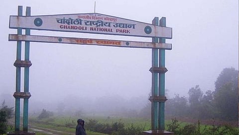 लसीकरण झालेल्या पर्यटकांनाच चांदोलीत प्रवेश