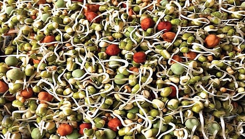 संग्रहित छायाचित्र