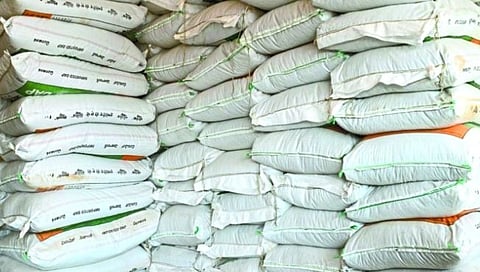 खतांचे उत्पादन वाढविण्यासाठी सरकारकडून आराखडा सादर : मनसुख मांडविया