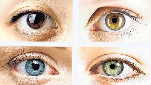 औरंगाबाद : डोळ्यांप्रमाणे पापणीदेखील नाजूक अवयव