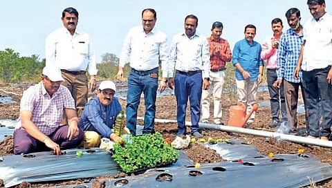 सांगलीत मार्चमध्ये ‘अ‍ॅग्री पंढरी’ प्रदर्शन