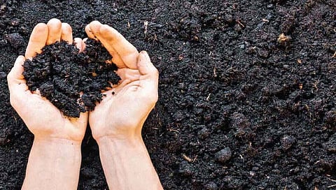 आव्हान जमिनीचे आरोग्य टिकवण्याचे!