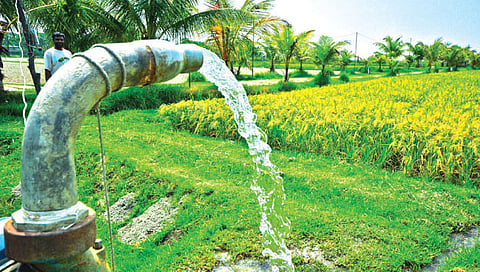 Budget 2022 : शेतीसह ग्रामीण विकास सुद‍ृढ करणारा अर्थसंकल्प