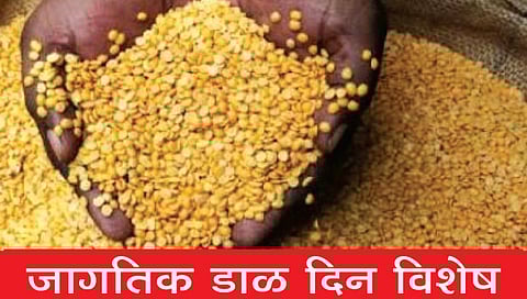 जागतिक डाळ दिन विशेष : तूरडाळीची दररोज 50 टन आवक