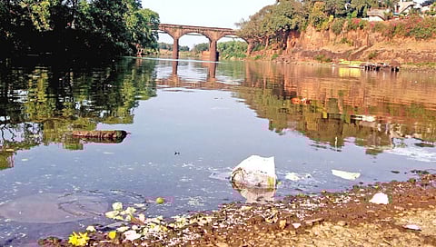 कोल्हापूर : पंचगंगा नदीपात्रात असा कचरा साचला आहे.     