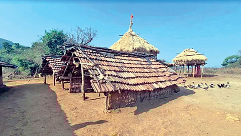 जंगलातील सेलटी गावात असलेले एकमेव झोरे कुटुंबाचं हे घर.