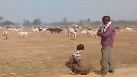 उत्तरप्रदेश : शेतकर्‍यांनी योगींच्या सभेत सोडले वळू