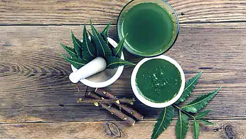 कडुनिंबाच्या सालीपासून बनणार कोरोनावरील औषध