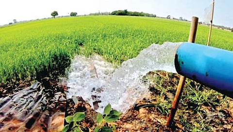 चंद्रपूर : वनक्षेत्रातील कृषीपंपांना दिवसा वीज पुरवठा; उपमुख्यमंत्री देवेंद्र फडणवीस यांचे ऊर्जा विभागाला आदेश