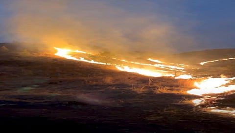 नाशिक : मातोरी परिसरात पेटलेला वणवा