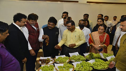 नाशिक जिल्ह्याला द्राक्ष राजधानीचा मान : खा. गोडसे, द्राक्ष महोत्सवाचे उद्घाटन