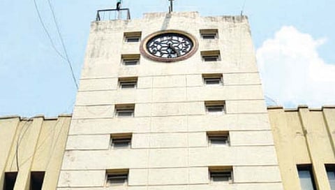 सांगली : डासांचा उच्छाद; उद्रेकाची भीती