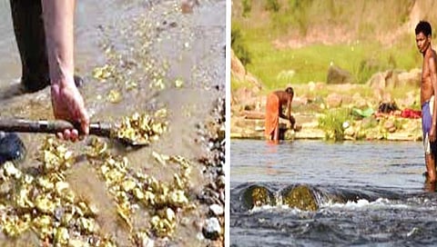 भारतातील नदी : झारखंडमध्ये वाहते नदीच्या पाण्यातून सोने!
