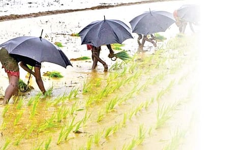 मान्सून : दिलासादायक अंदाज