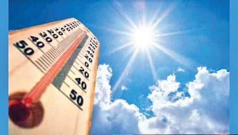 उष्णतेची लाट कशावरून ठरवतात? जाणून घ्या अधिक