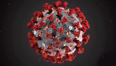 Omicron Variant : मुंबईतील सर्व 237 नमुन्यांमध्ये ओमायक्रॉन