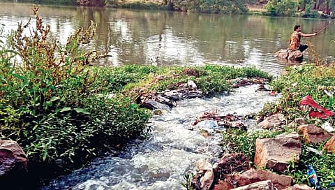 कोल्हापूर : पंचगंगा प्रदूषणात नाल्यांचा मोठा हातभार