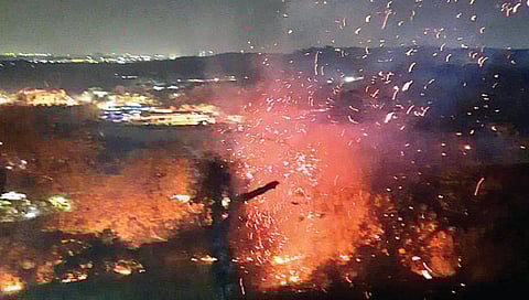 आरे जंगलातील आगीत अनेक झाडे खाक