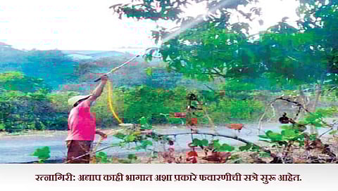 रत्नागिरी : फळांचा राजा अडचणीत; पंचनामे बासनात