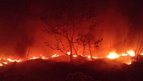 नाशिक : माळेगाव एमआयडीसीत कारखाना आवारातील स्क्रॅपला आग