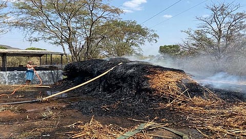 सातारा : नेले येथे दोन एकर उसासह कडबा जळून खाक