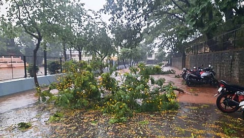 कराड शहराला वादळी पावसाचा तडाखा