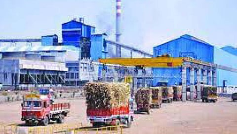 कोल्हापूर विभागात अडीच कोटी टन उसाचे गाळप