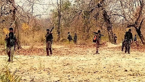 संग्रहीत 
