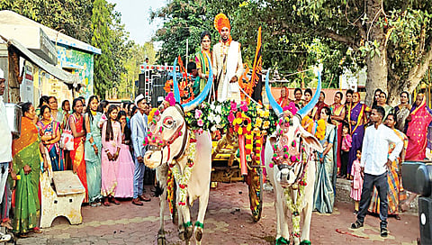वधू-वराची बैलगाडीतून मिरवणूक,www.pudhari.news
