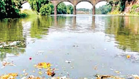 कोल्हापूर : तीन वर्षांत 600 हून अधिक नोटिसा