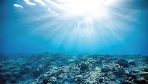 वैज्ञानिकांनी समुद्रात शोधले 5500 नवे विषाणू