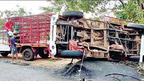 सिंधुदुर्ग : आंबेली येथे बोलेरो उलटली ; गाडीतील सर्व कोंबड्या मृत्युमुखी