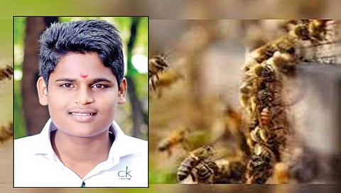 सातारा : मधमाश्यांच्या हल्ल्यामुळे दरीत पडून मुलगा ठार