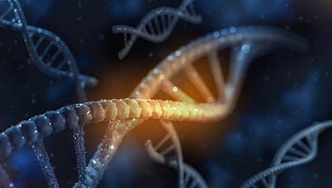 अनुवांशिक उत्परिवर्तन : कमी जेनेटिक म्युटेशनमुळे माणूस बनतो दीर्घायुष्यी