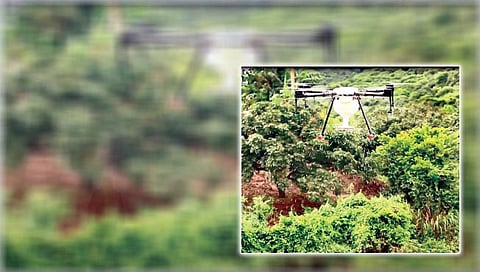 रत्नागिरी : आंबा फवारणीसाठी आता ड्रोनचा वापर