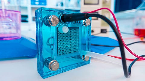 संग्रहित छायाचित्र