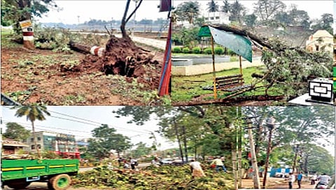 कराड: 1) येथील प्रीतिसंगम बागेत उन्मळून पडलेला वृक्ष. 2) स्व. यशवंतराव चव्हाण समाधीस्थळ परिसरात वृक्ष पडल्याने झालेले नुकसान. 3) कराड - विटा मार्गावर पडलेल्या वृक्षांच्या फांद्या कट करताना कर्मचारी. 4) विद्युत वाहक तारा जोडताना वीज वितरण कंपनीचे कर्मचारी. 