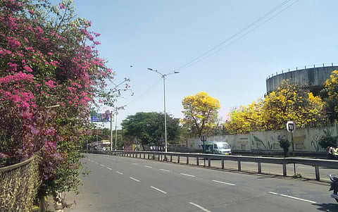 As the mercury rose to 42 degrees Celsius in the city, the roads became dry in the afternoon and the roads became damp due to lack of citizens.