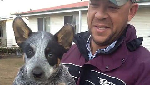 क्रिकेटपटू अँड्र्यू सायमंड जवळच बसून होते दोन्ही श्‍वान! सायमंडस्च्या मृत्यूनंतरचे काळीज हेलावणारे द‍ृश्य